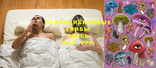 прущие грибы Алексин