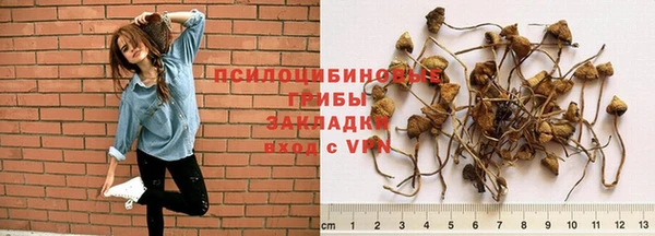 прущие грибы Алексин